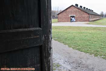 IMG_ (11554)